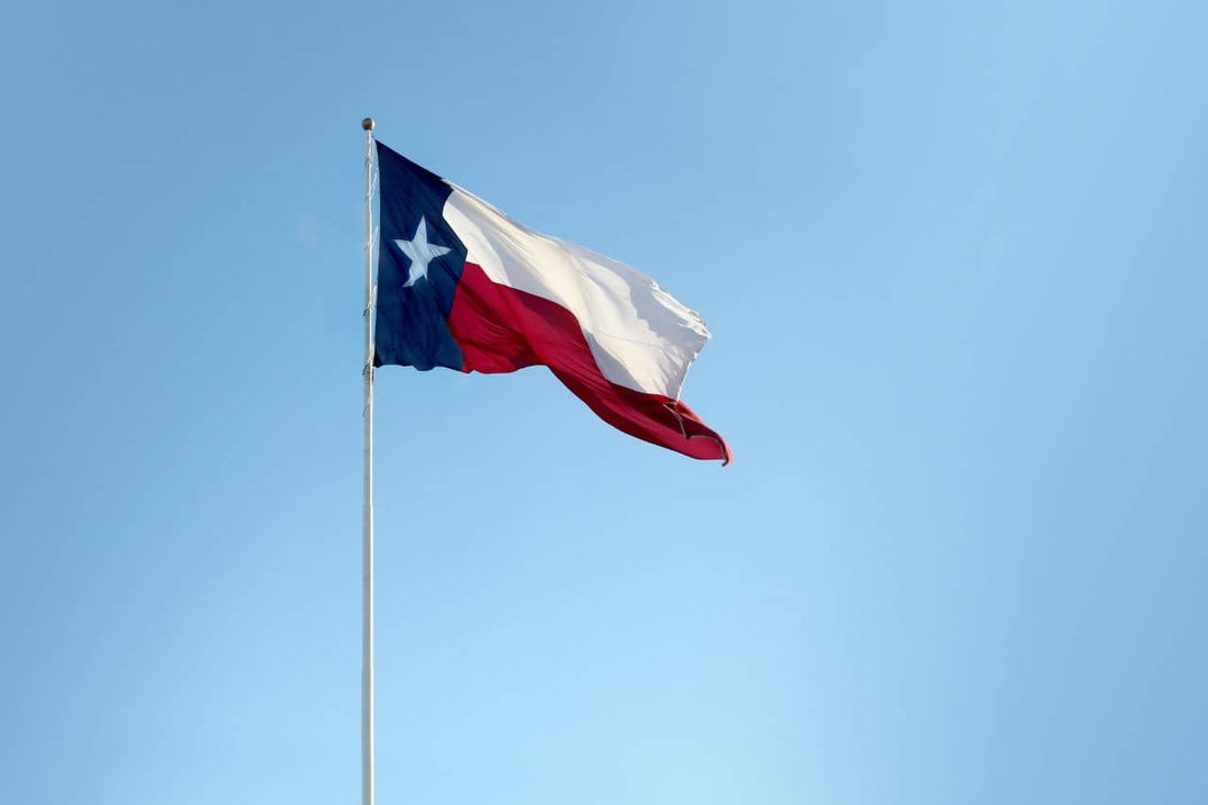 Texas flagga som vajar