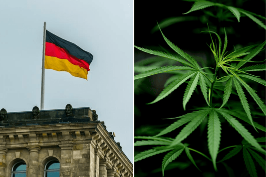 Tyskland ser Kanadas framgång med cannabis