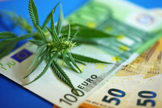 Tysklands legalisering av cannabis 