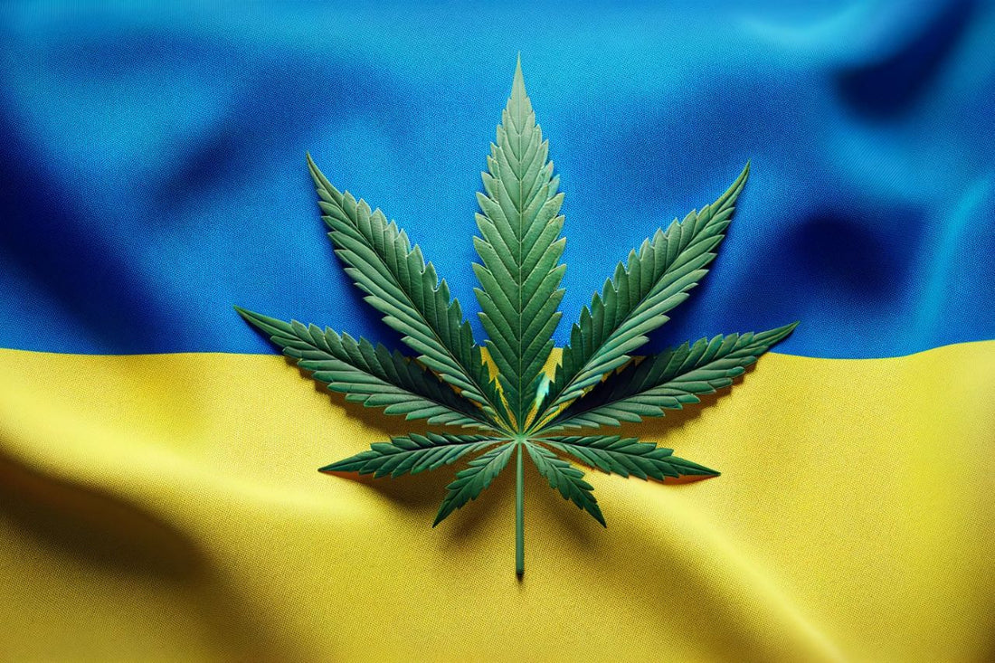 Ukrainas flagga och cannabisblad
