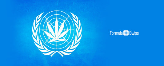 Panel inom Förenta Nationerna släpper första granskningen någonsin av marijuana
