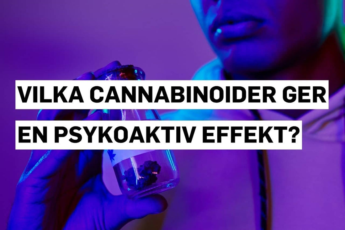 Vilka cannabinoider ger en psykoaktiv effekt?