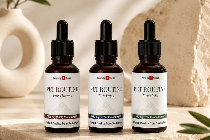 Formula Swiss Pet Routine CBD-oljor för hästar, hundar och katter på en stenyta