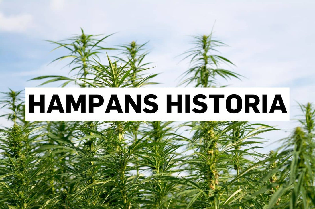 Hampans historia