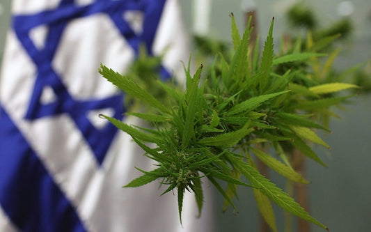 Nya bestämmelser om medicinsk cannabis i Israel