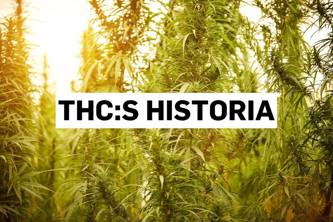 THC:s historia