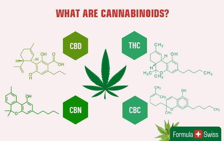 Cannabinoider - Den kompletta listan på cannabinoider i cannabis