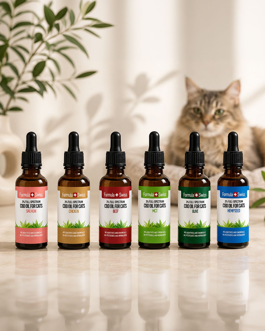 CBD olja för katter
