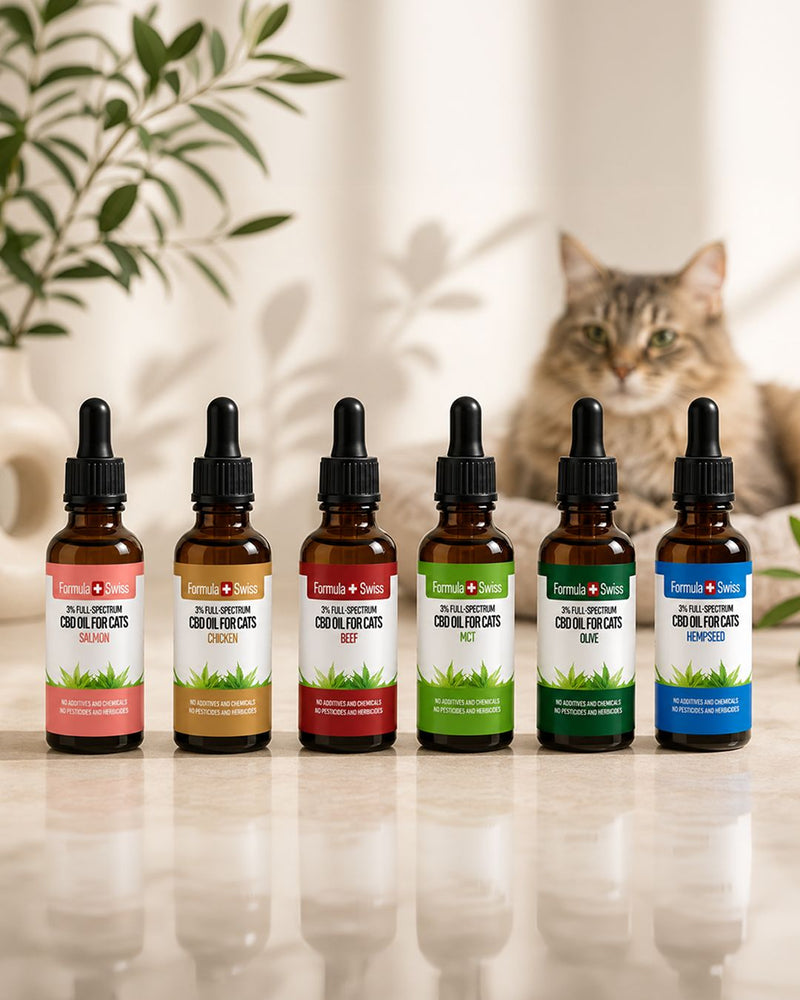 CBD olja för katter