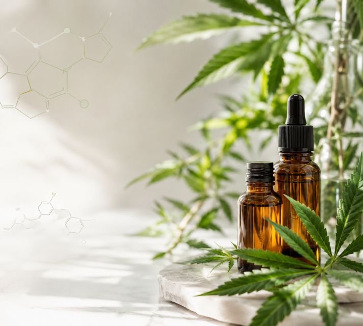 Kunskap om cannabinoider och ämnen i hampaväxten
