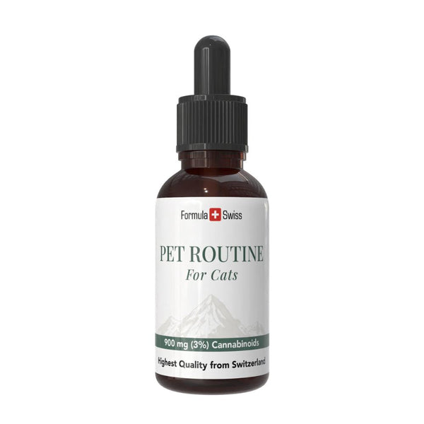Pet Routine för katter
