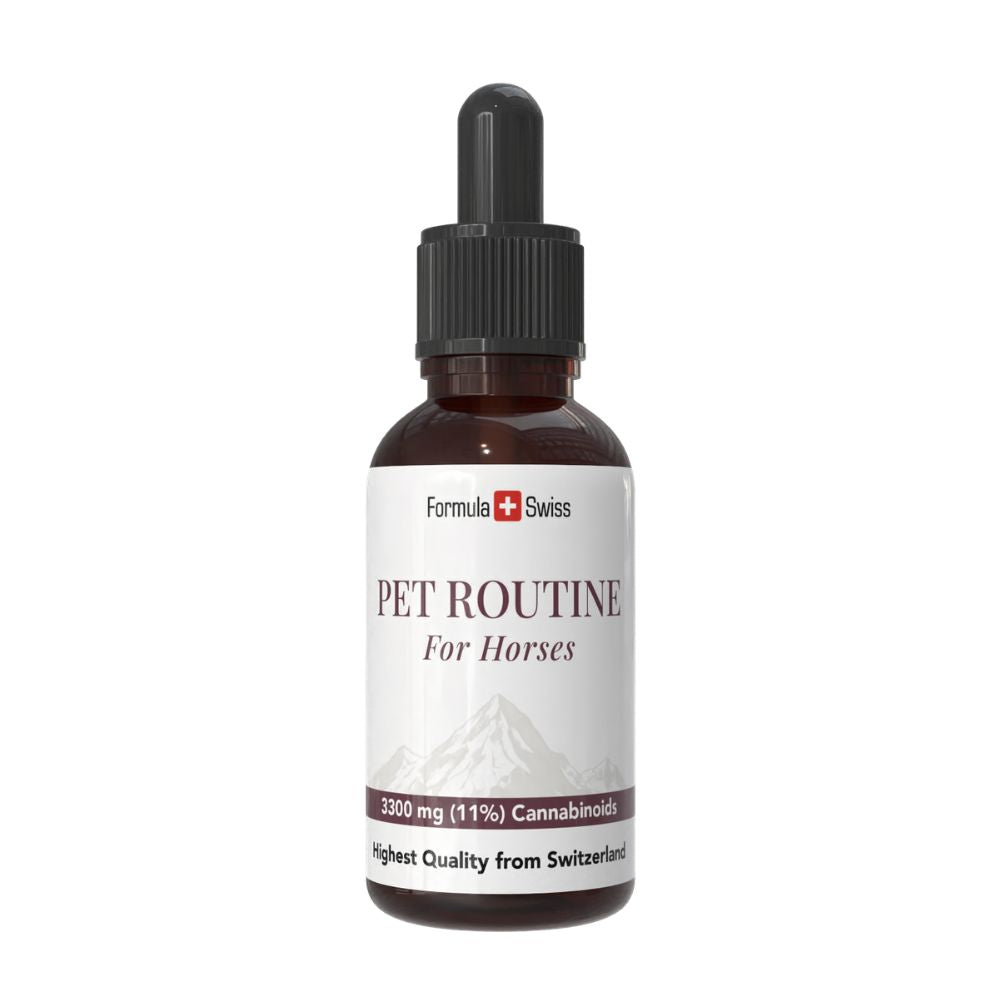 Formula Swiss Pet Routine för hästar - CBD olja 10 % CBD, droppflaska