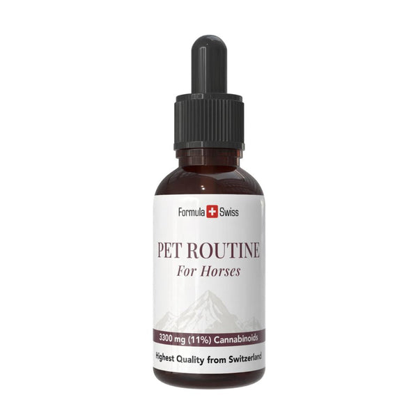 Pet Routine för hästar